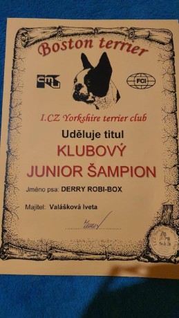 Derry Robi-box - klubový junior šampion