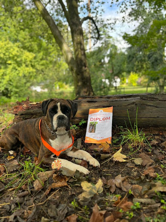 Mezinárodní výstava psů - Irenka