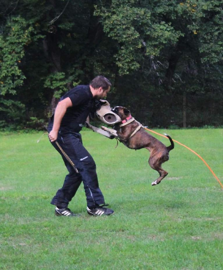 Quira Robi-box obrana