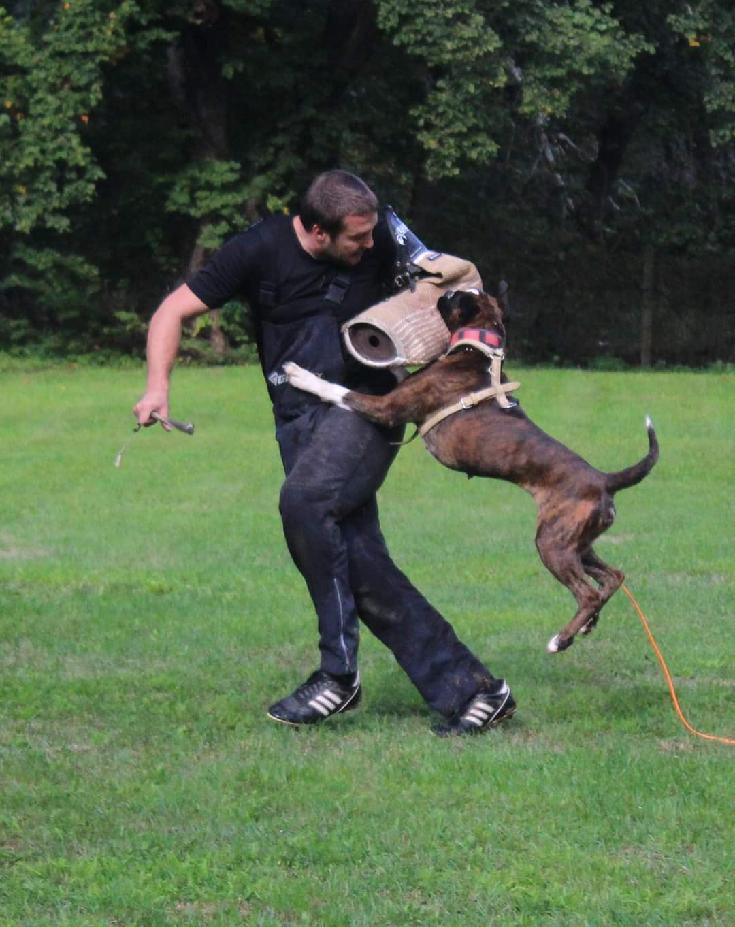 Quira Robi-box obrana 1