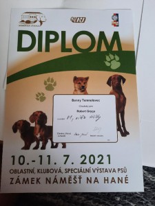oblastni-klubova-spec.vystava-10.-11.7.2021.jpg