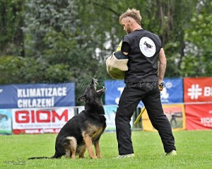 vratimov---obrana-2.jpg