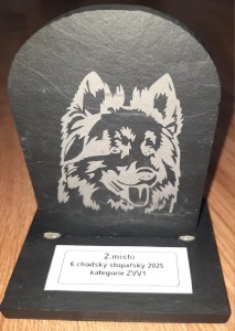 6.stoparsky-zavod-chodskych-psu-2025.jpg