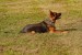Abby 24.8.2024